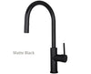 Matte Black Pedicure Faucet - Pullout Spout