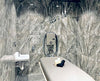 Torrent Vichy Shower System